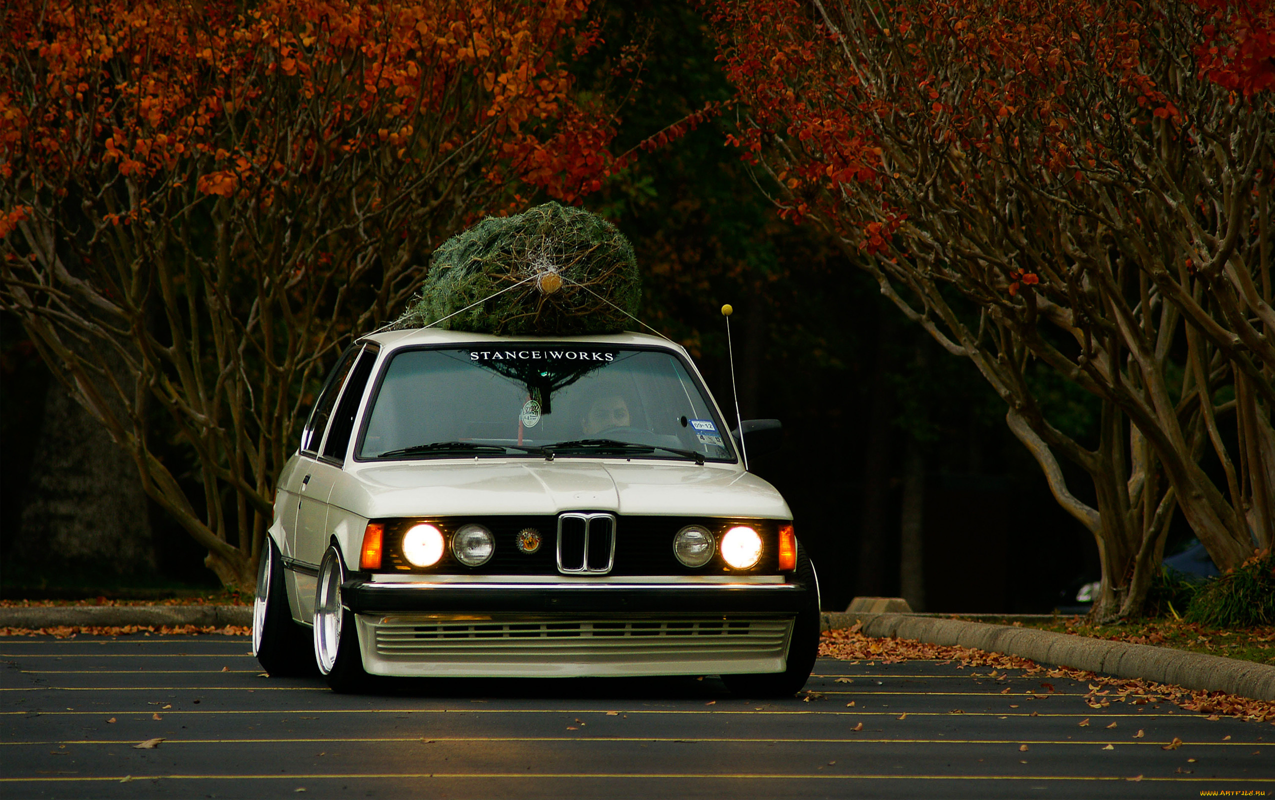 , bmw